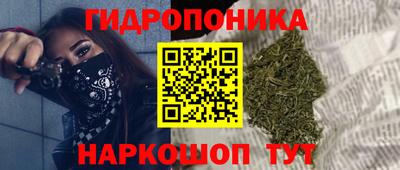 дживик Кулебаки