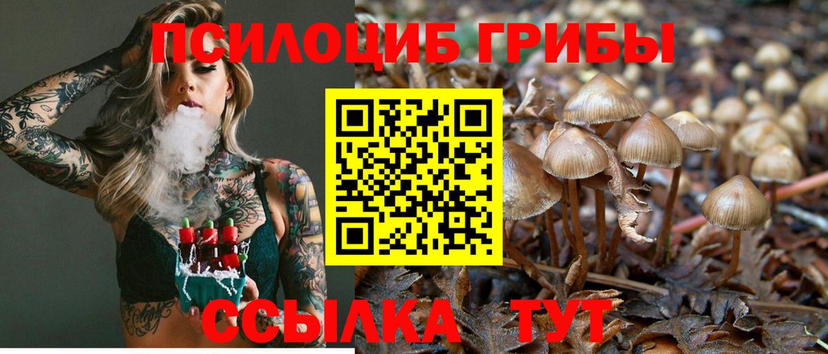 Галлюциногенные грибы Psilocybine cubensis  Псилоцибиновые грибы прущие грибы  Зеленодольск  где можно купить   Вход с VPN 
